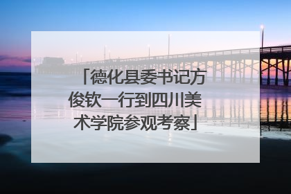 德化县委书记方俊钦一行到四川美术学院参观考察
