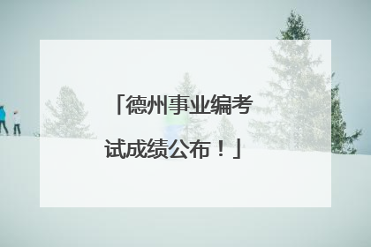 德州事业编考试成绩公布！