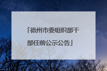 德州市委组织部干部任前公示公告