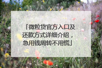 微粒贷官方入口及还款方式详细介绍，急用钱周转不用慌