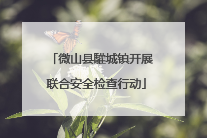 微山县驩城镇开展联合安全检查行动