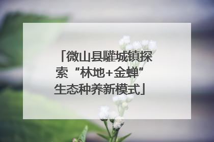 微山县驩城镇探索“林地+金蝉”生态种养新模式