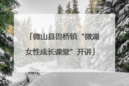 微山县鲁桥镇“微湖女性成长课堂”开讲