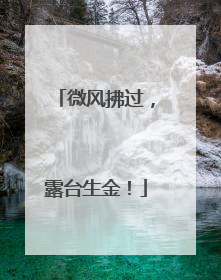 微风拂过，露台生金！