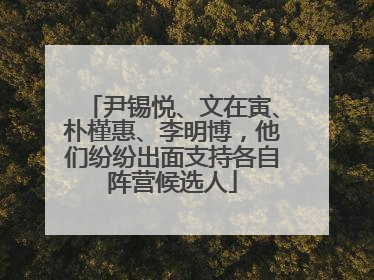 尹锡悦、文在寅、朴槿惠、李明博，他们纷纷出面支持各自阵营候选人