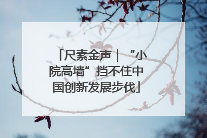 尺素金声｜“小院高墙”挡不住中国创新发展步伐
