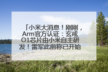 小米大消息！刚刚，Arm官方认证：玄戒O1芯片由小米自主研发！雷军此前称已开始大规模量产