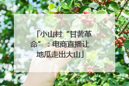 小山村“甘薯革命”：电商直播让地瓜走出大山
