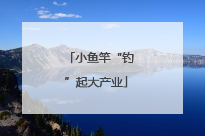 小鱼竿“钓”起大产业