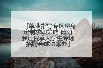 就业指导专区量身定制求职策略 德阳罗江夏季大学生专场招聘会成功举办