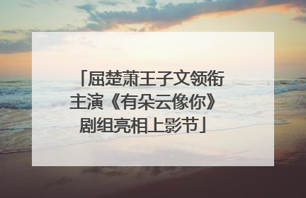 屈楚萧王子文领衔主演《有朵云像你》剧组亮相上影节