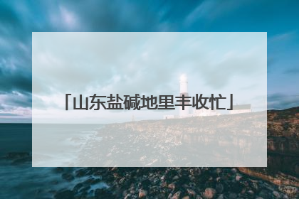 山东盐碱地里丰收忙