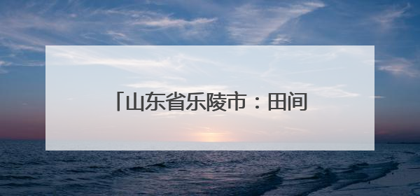 山东省乐陵市：田间地头 全市植保无人机劳动竞赛精彩纷呈
