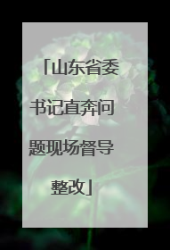 山东省委书记直奔问题现场督导整改
