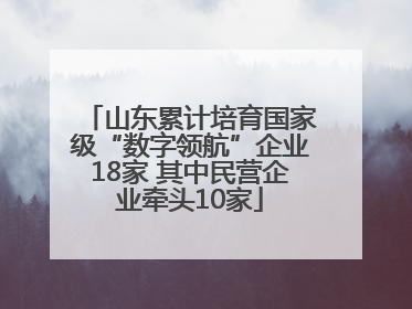 山东累计培育国家级“数字领航”企业18家 其中民营企业牵头10家