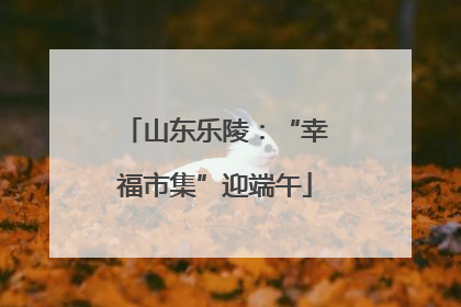 山东乐陵：“幸福市集”迎端午