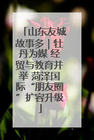 山东友城故事多｜牡丹为媒 经贸与教育并举 菏泽国际“朋友圈”扩容升级
