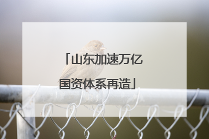 山东加速万亿国资体系再造