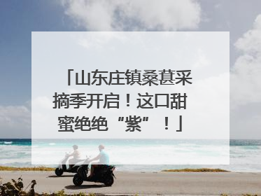 山东庄镇桑葚采摘季开启！这口甜蜜绝绝“紫”！
