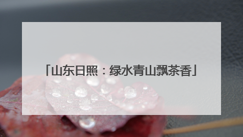 山东日照：绿水青山飘茶香