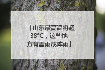 山东最高温将超38°C，这些地方有雷雨或阵雨