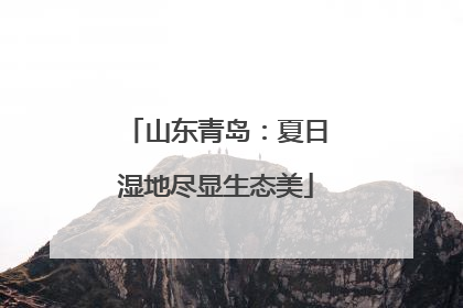 山东青岛：夏日湿地尽显生态美