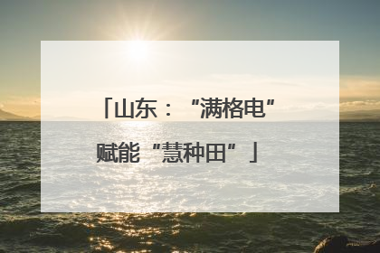 山东：“满格电”赋能“慧种田”