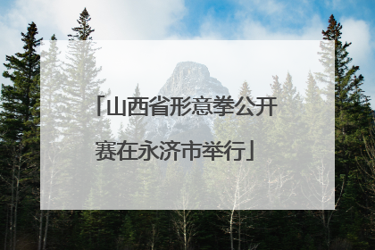 山西省形意拳公开赛在永济市举行