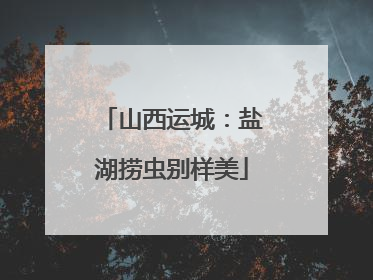 山西运城：盐湖捞虫别样美