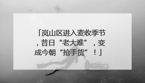 岚山区进入麦收季节，昔日“老大难”，变成今朝“抢手货”！