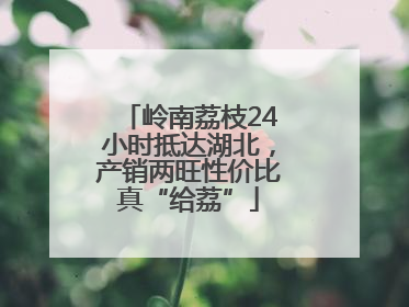 岭南荔枝24小时抵达湖北，产销两旺性价比真“给荔”