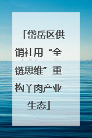 岱岳区供销社用“全链思维”重构羊肉产业生态