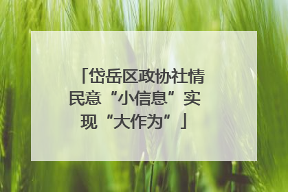 岱岳区政协社情民意“小信息”实现“大作为”