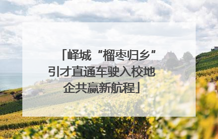 峄城“榴枣归乡”引才直通车驶入校地企共赢新航程