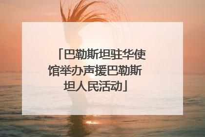 巴勒斯坦驻华使馆举办声援巴勒斯坦人民活动