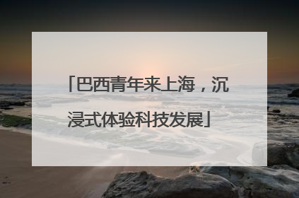 巴西青年来上海，沉浸式体验科技发展