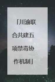 川渝联合共建五项禁毒协作机制