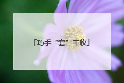 巧手“套”丰收