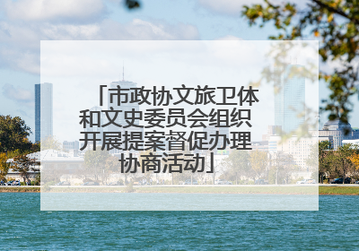 市政协文旅卫体和文史委员会组织开展提案督促办理协商活动