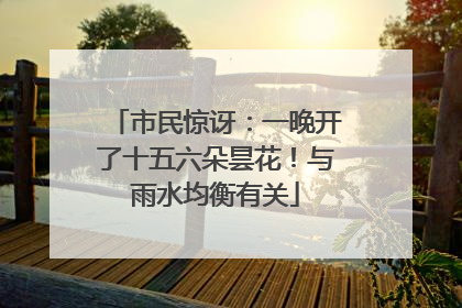 市民惊讶：一晚开了十五六朵昙花！与雨水均衡有关