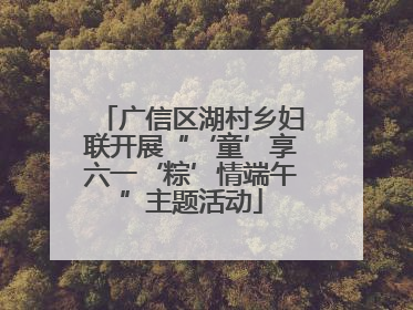 广信区湖村乡妇联开展“‘童’享六一‘粽’情端午”主题活动
