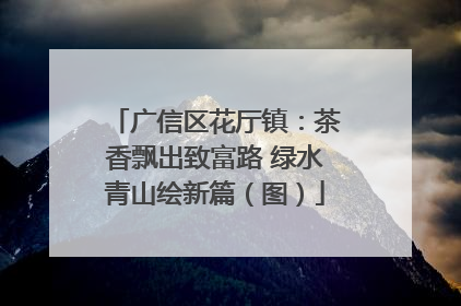 广信区花厅镇：茶香飘出致富路 绿水青山绘新篇（图）