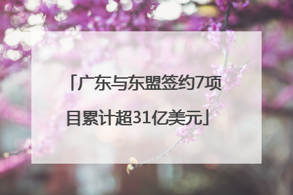 广东与东盟签约7项目累计超31亿美元