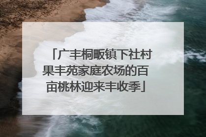 广丰桐畈镇下社村果丰苑家庭农场的百亩桃林迎来丰收季