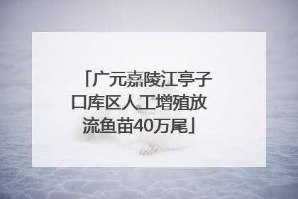 广元嘉陵江亭子口库区人工增殖放流鱼苗40万尾
