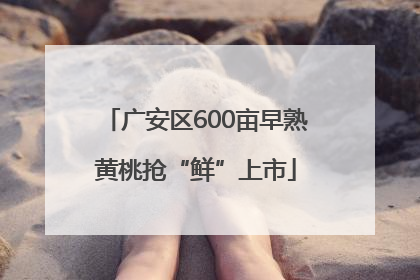 广安区600亩早熟黄桃抢“鲜”上市