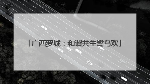 广西罗城：和谐共生鹭鸟欢