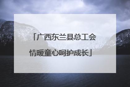 广西东兰县总工会情暖童心呵护成长