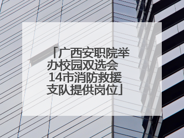 广西安职院举办校园双选会 14市消防救援支队提供岗位