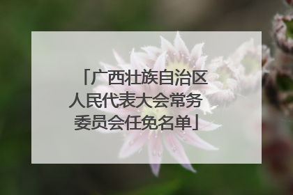 广西壮族自治区人民代表大会常务委员会任免名单
